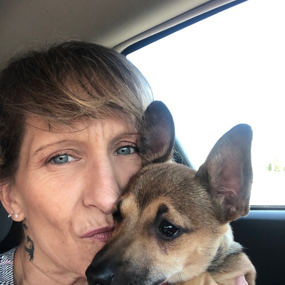 Meet your Posher, Candy - Picture 3 of 4